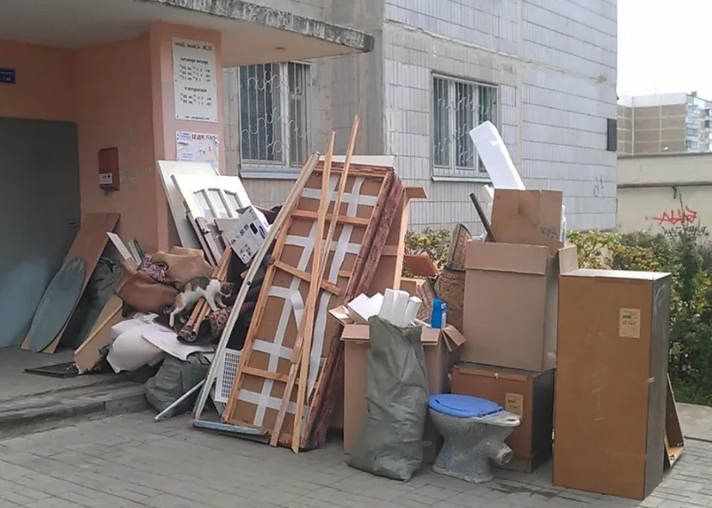 Профессиональный вывоз мусора из квартиры в Тихорецке в октябре