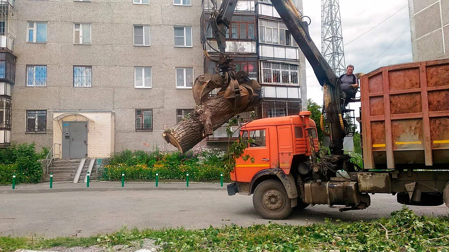 Вывоз спиленных веток и деревьев в Тихорецке от ПроМусор: порубочные остатки, утилизация, цена от 2989 руб