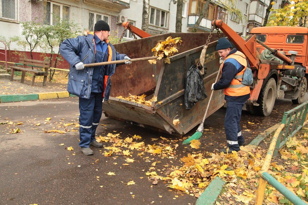Вывоз опавшей листвы и растительного мусора в Тихорецке от ПроМусор – цена от 4638 руб., быстрая уборка и утилизация
